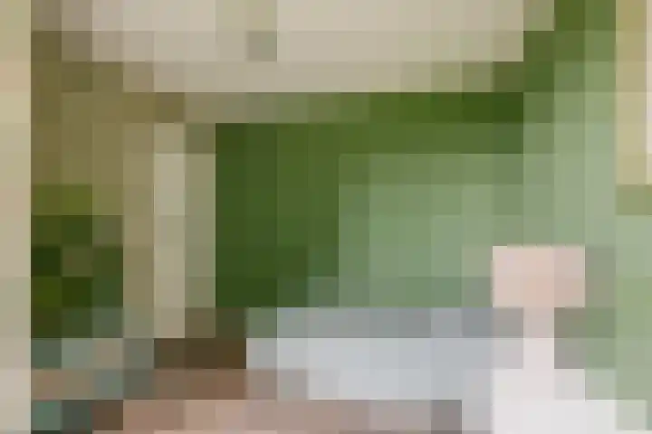 Dassenbos 256 Hoofddorp thumbnail 27