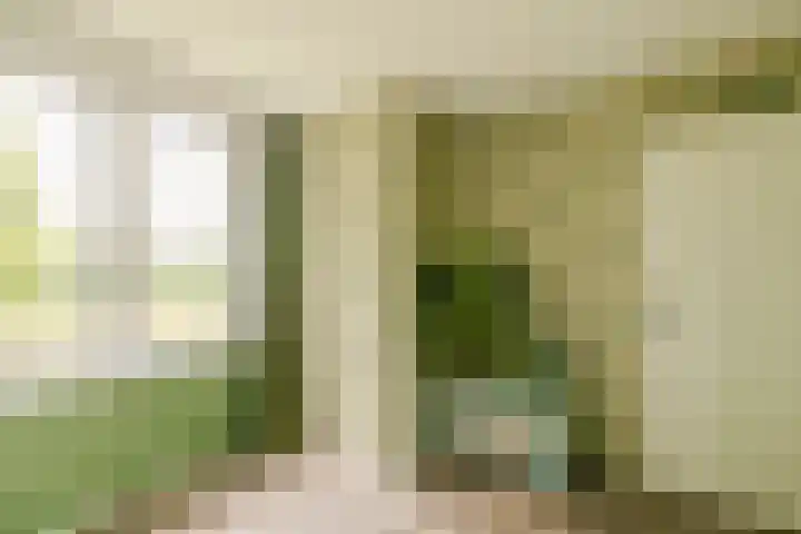 Dassenbos 256 Hoofddorp thumbnail 29