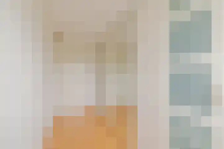Dassenbos 256 Hoofddorp thumbnail 31