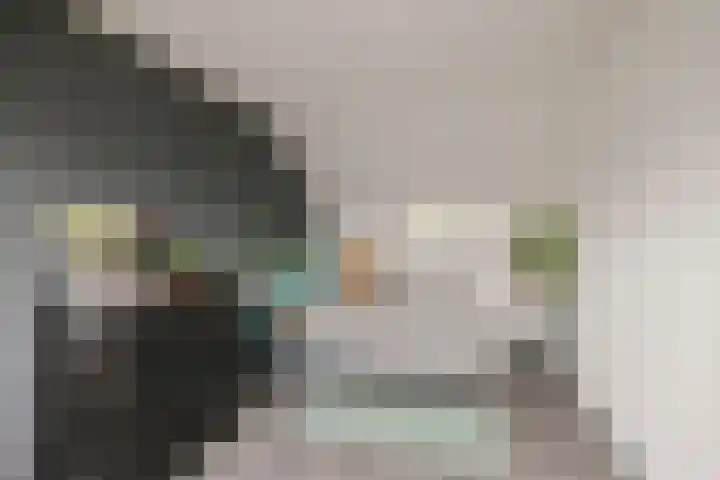 Dassenbos 256 Hoofddorp thumbnail 33