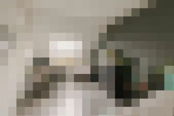 Dassenbos 256 Hoofddorp thumbnail 34