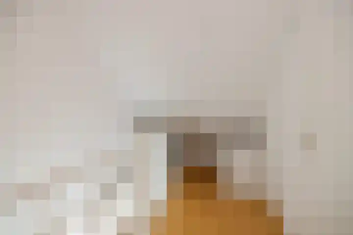 Dassenbos 256 Hoofddorp thumbnail 35