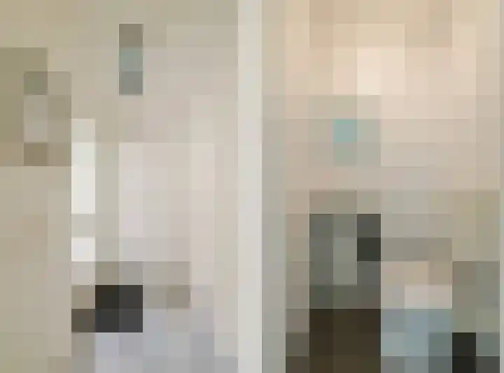 Dassenbos 256 Hoofddorp thumbnail 36