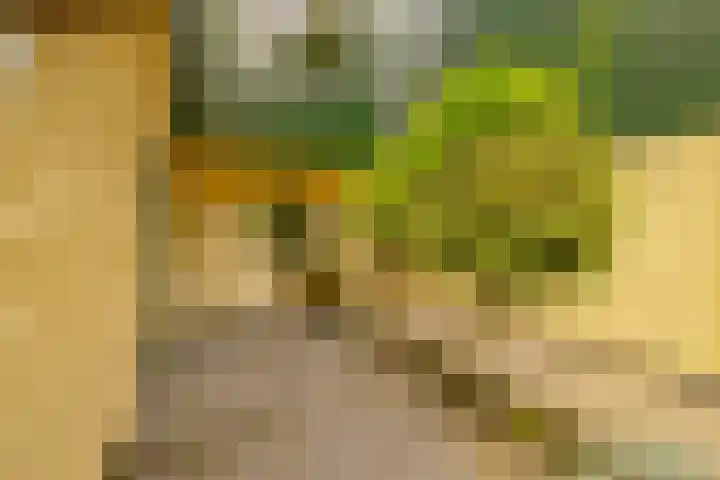 Dassenbos 256 Hoofddorp thumbnail 37