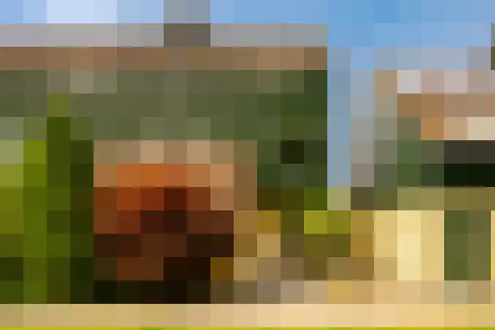 Dassenbos 256 Hoofddorp thumbnail 38