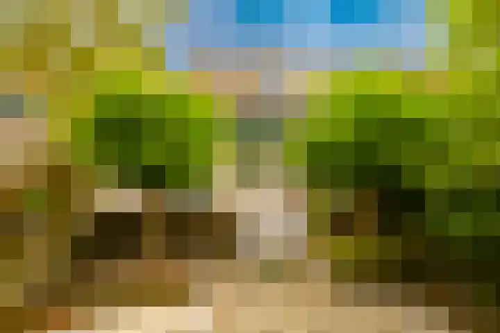 Dassenbos 256 Hoofddorp thumbnail 4