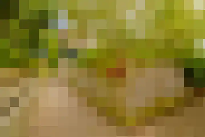 Dassenbos 256 Hoofddorp thumbnail 40