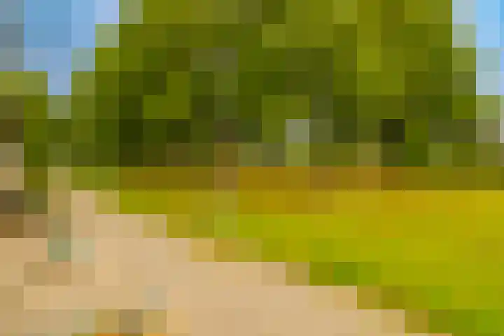 Dassenbos 256 Hoofddorp thumbnail 41