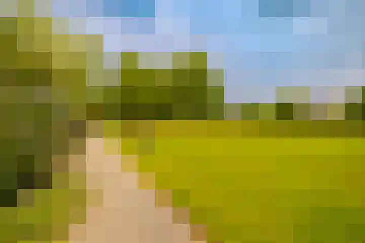 Dassenbos 256 Hoofddorp thumbnail 43