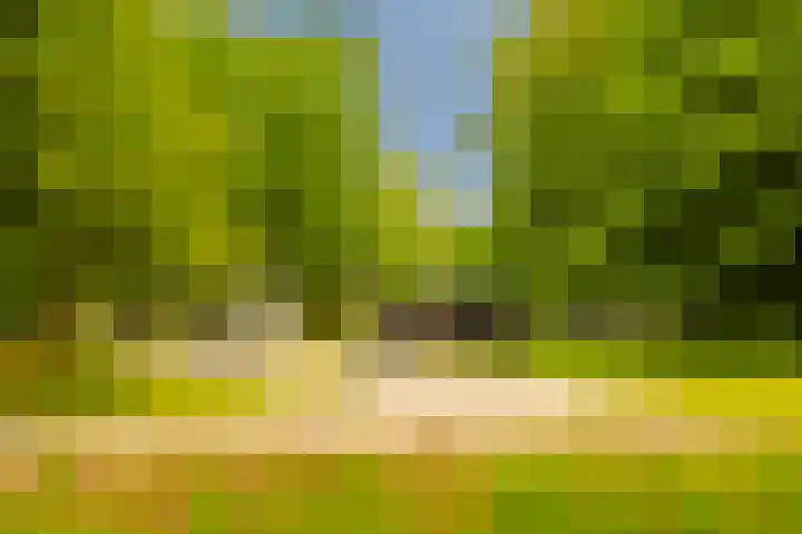 Dassenbos 256 Hoofddorp thumbnail 45
