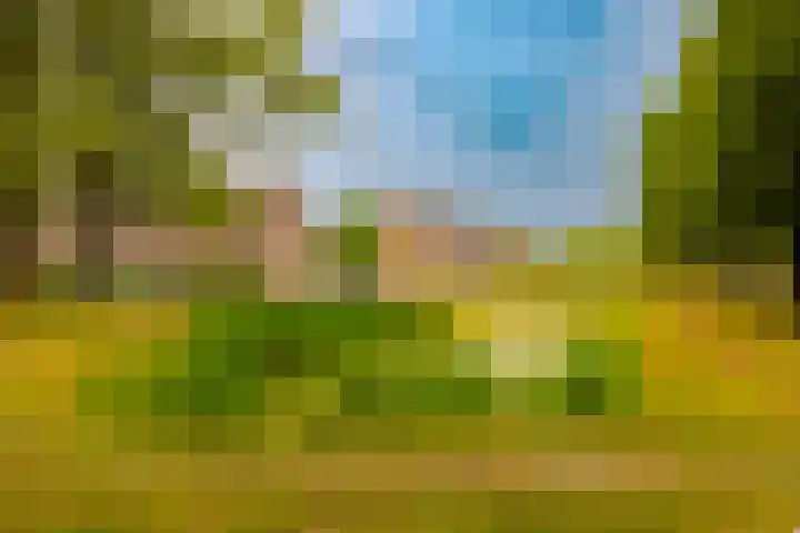 Dassenbos 256 Hoofddorp thumbnail 46