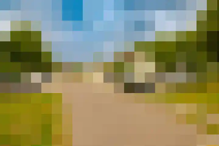 Dassenbos 256 Hoofddorp thumbnail 48