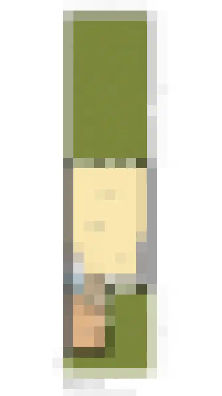 Dassenbos 256 Hoofddorp thumbnail 49