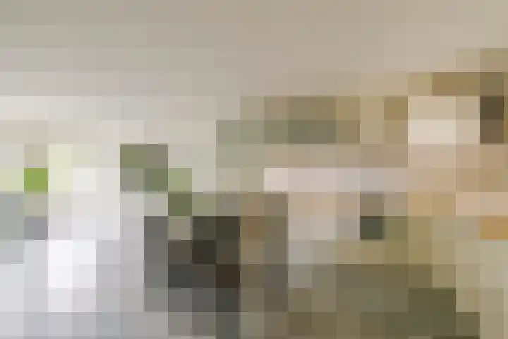 Dassenbos 256 Hoofddorp thumbnail 5
