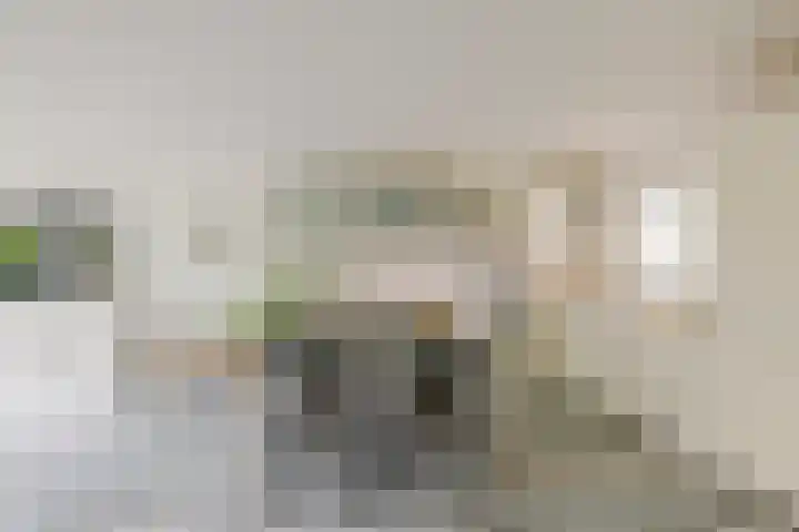 Dassenbos 256 Hoofddorp thumbnail 6