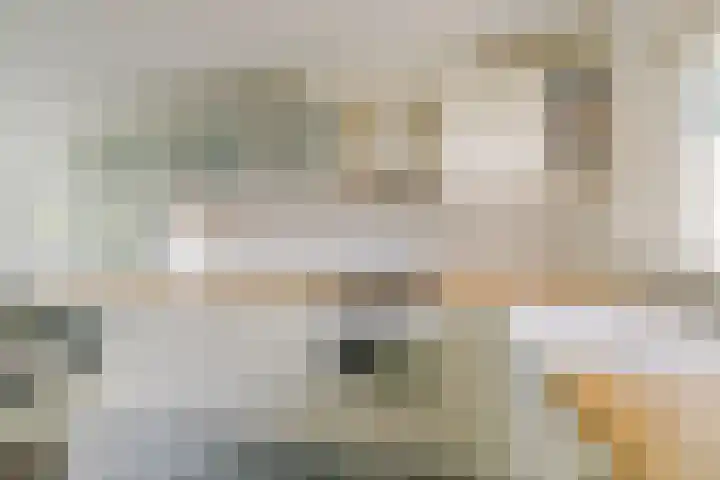 Dassenbos 256 Hoofddorp thumbnail 7