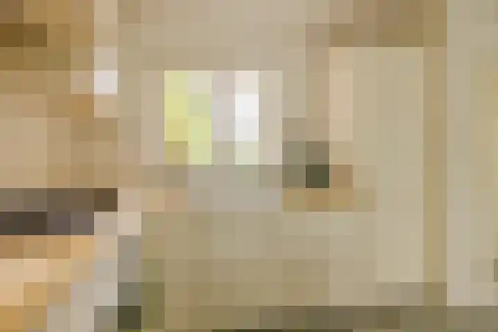 Dassenbos 256 Hoofddorp thumbnail 8