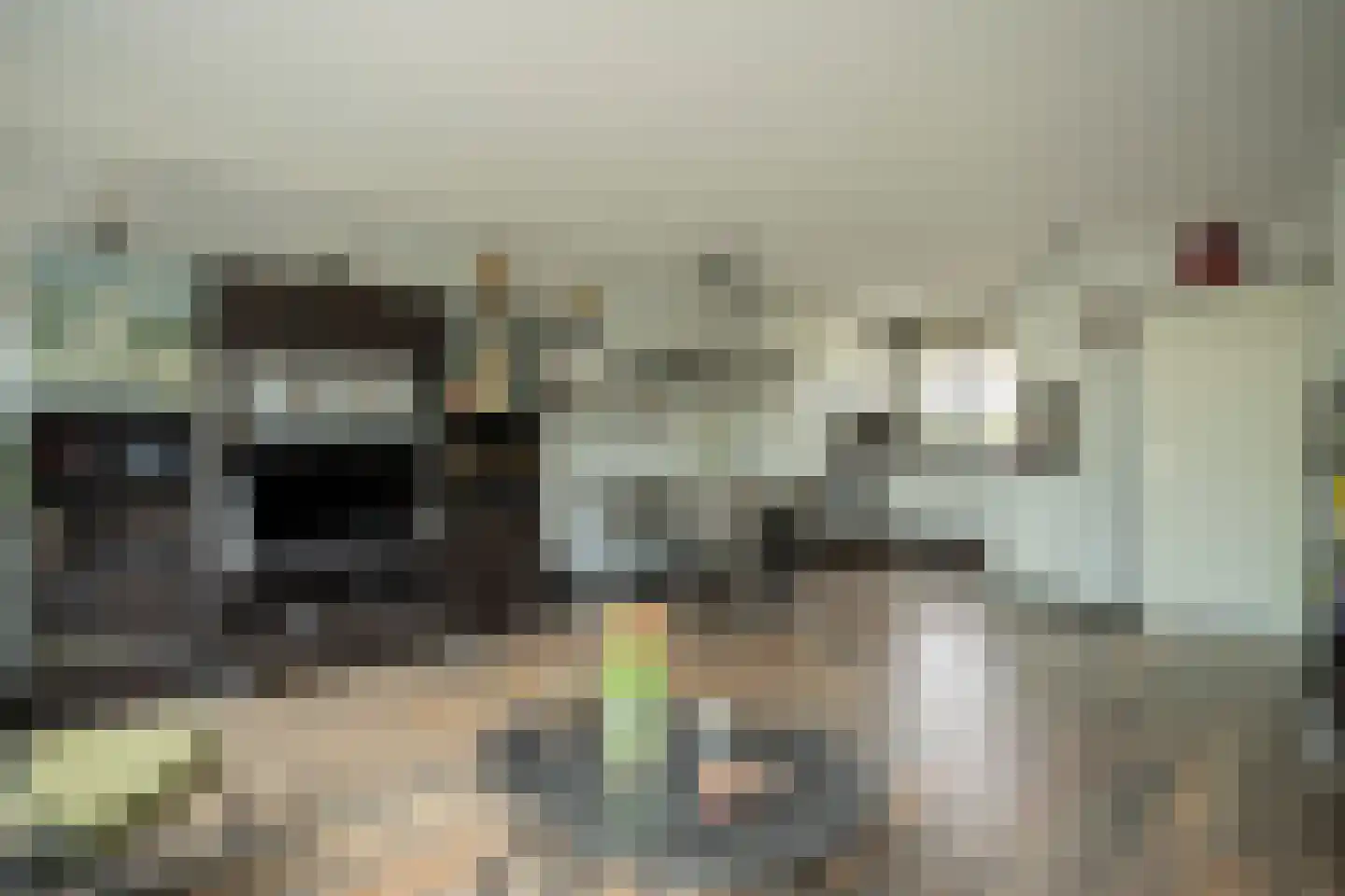 Dassenbos 264 Hoofddorp thumbnail 11