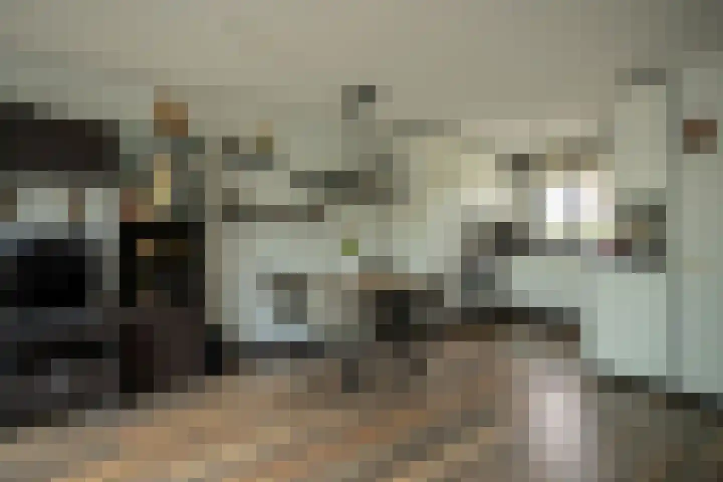 Dassenbos 264 Hoofddorp thumbnail 12