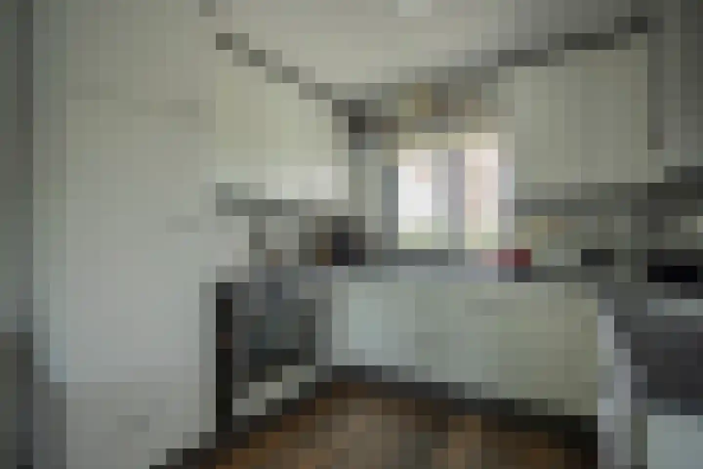 Dassenbos 264 Hoofddorp thumbnail 14