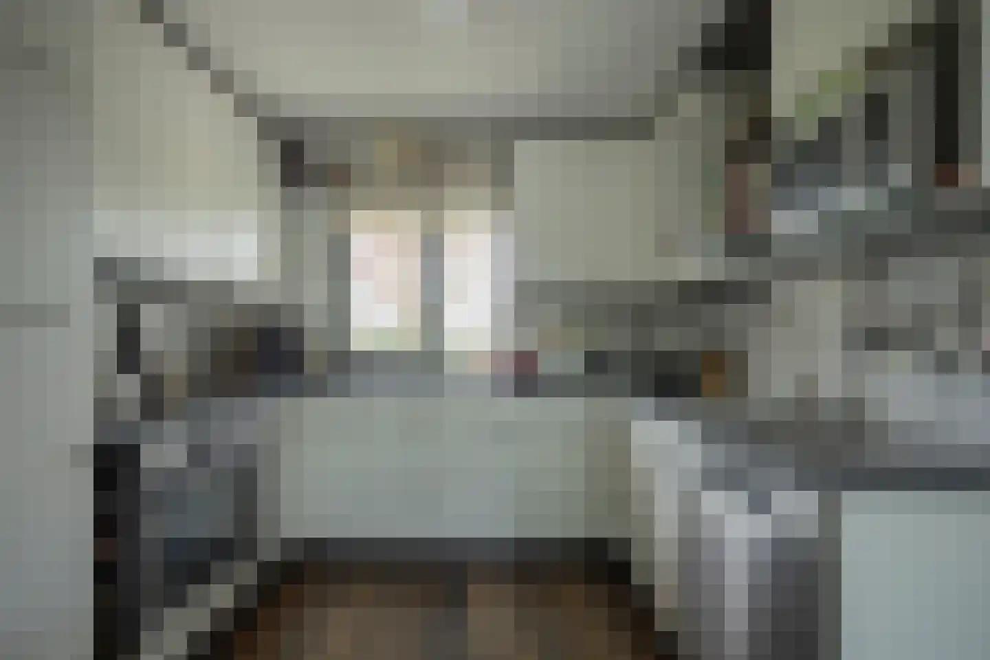 Dassenbos 264 Hoofddorp thumbnail 15