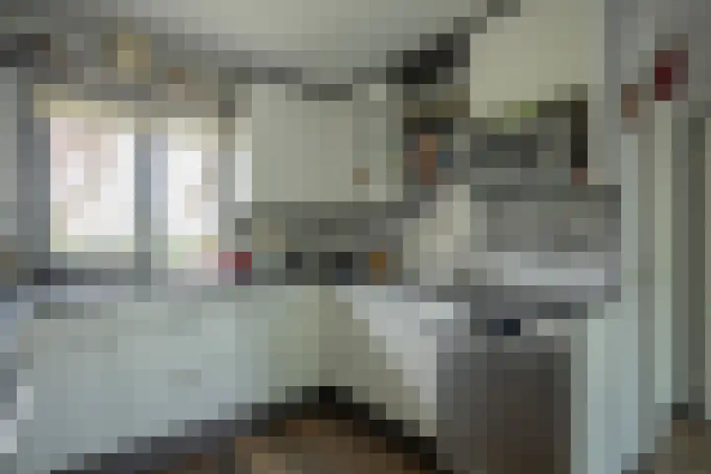 Dassenbos 264 Hoofddorp thumbnail 16