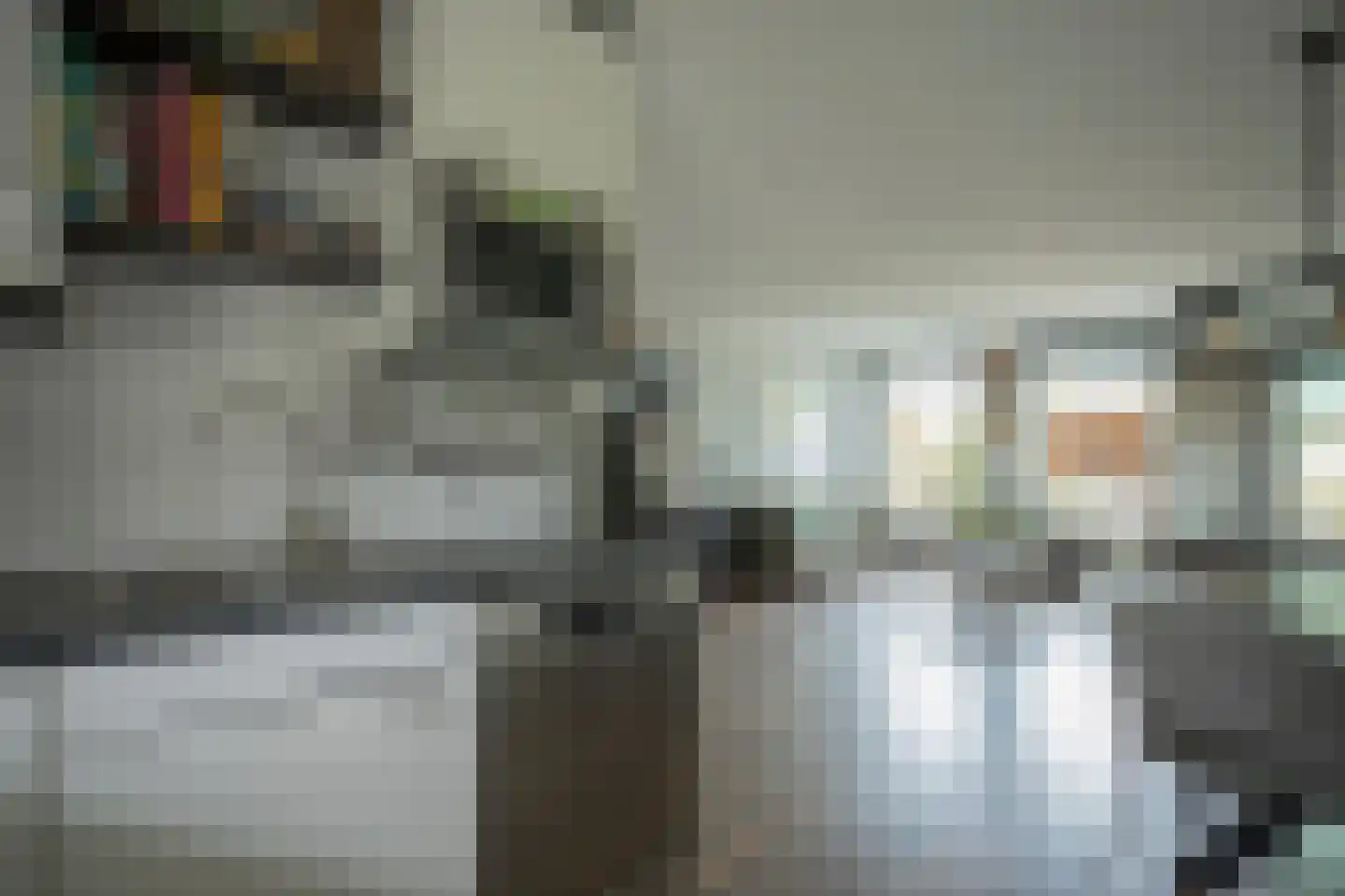 Dassenbos 264 Hoofddorp thumbnail 17