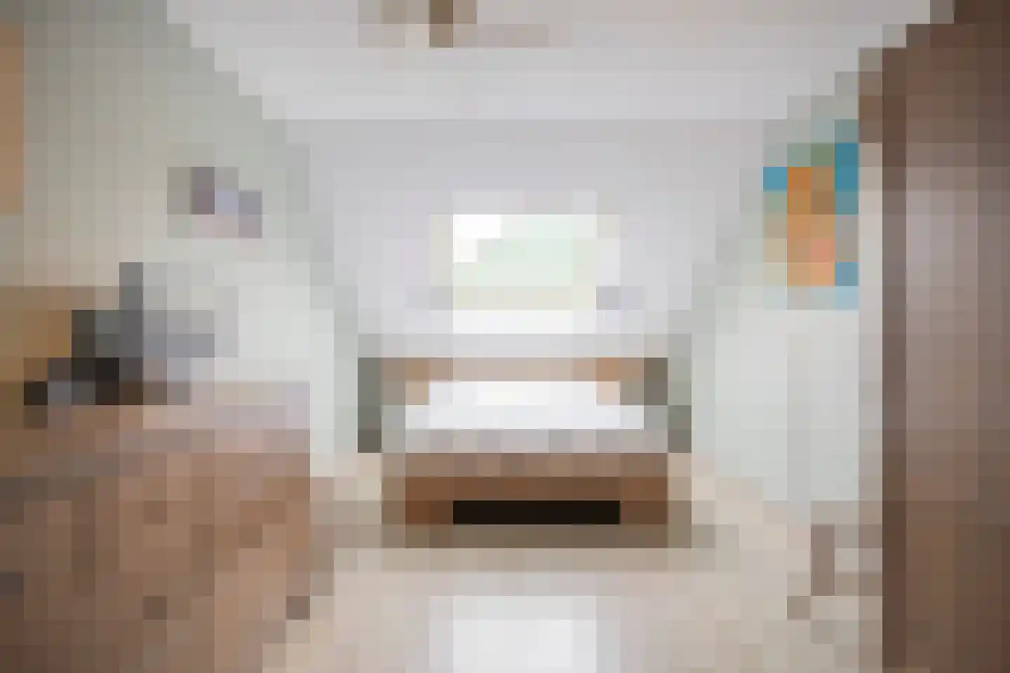 Dassenbos 264 Hoofddorp thumbnail 19