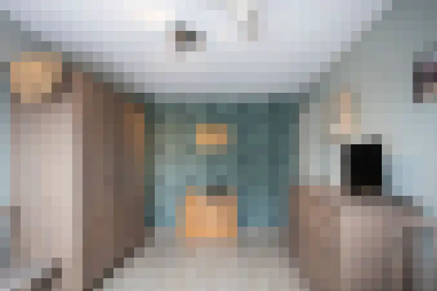 Dassenbos 264 Hoofddorp thumbnail 20