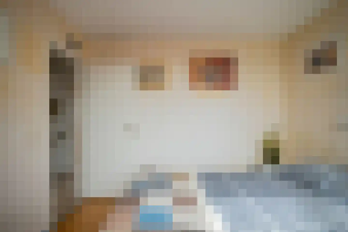 Dassenbos 264 Hoofddorp thumbnail 27