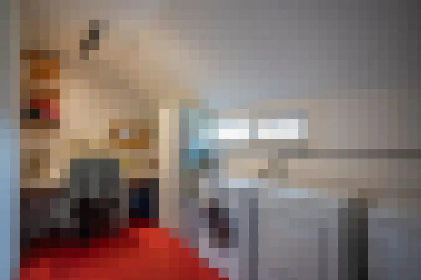 Dassenbos 264 Hoofddorp thumbnail 35