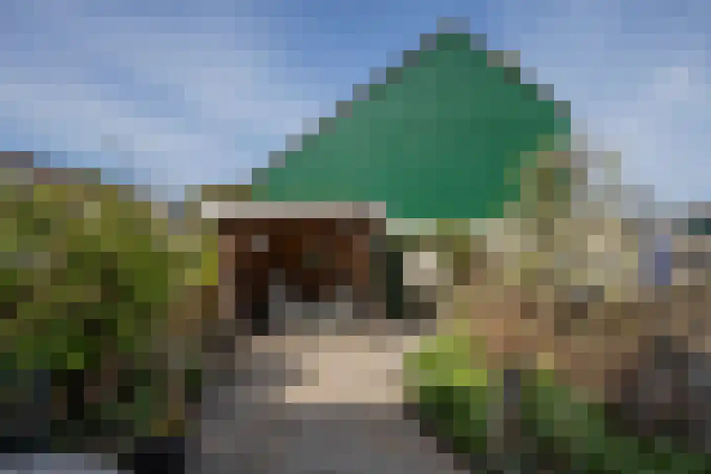 Dassenbos 264 Hoofddorp thumbnail 36