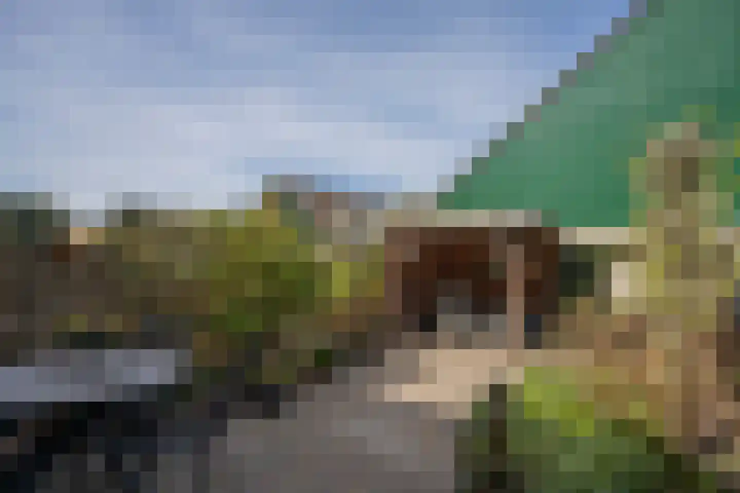 Dassenbos 264 Hoofddorp thumbnail 37