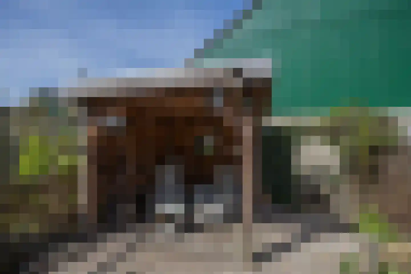 Dassenbos 264 Hoofddorp thumbnail 38