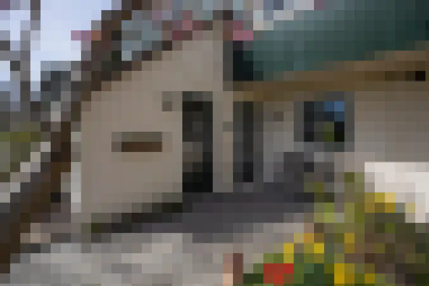 Dassenbos 264 Hoofddorp thumbnail 4
