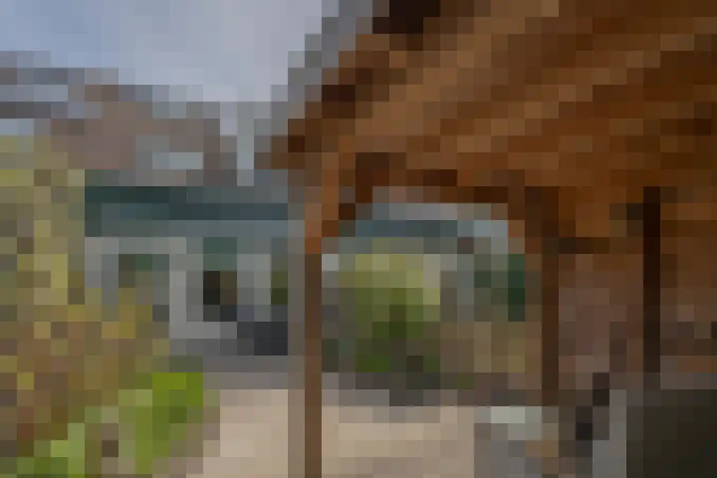 Dassenbos 264 Hoofddorp thumbnail 40