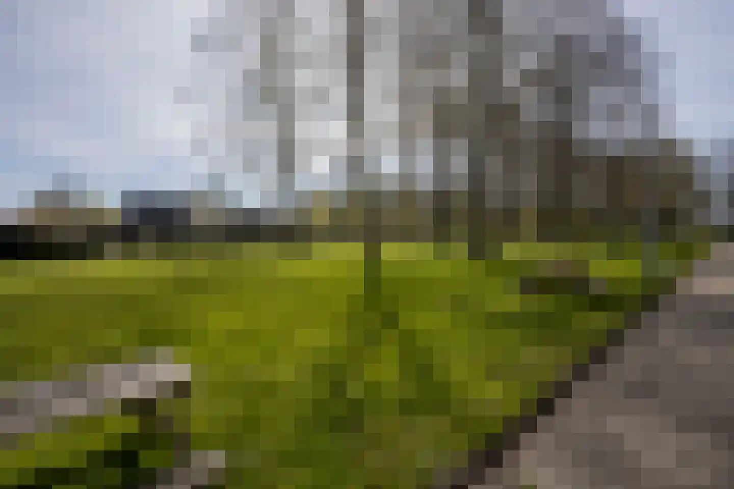 Dassenbos 264 Hoofddorp thumbnail 44