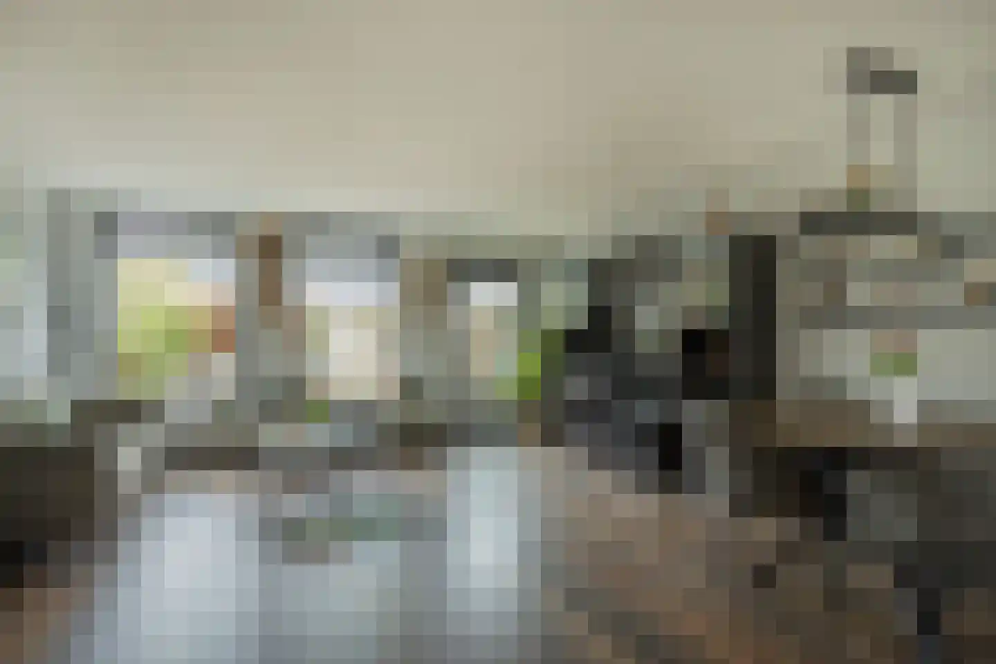 Dassenbos 264 Hoofddorp thumbnail 5