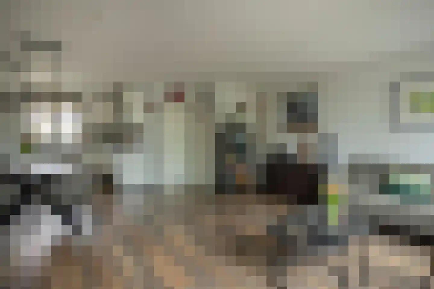 Dassenbos 264 Hoofddorp thumbnail 9