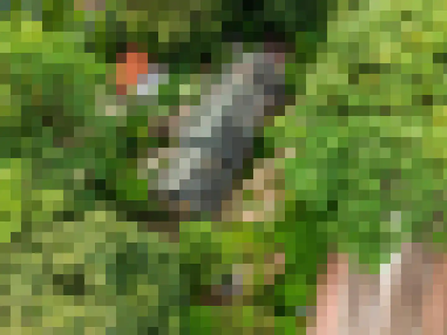 Dassenboslaan 21 Wageningen thumbnail 10