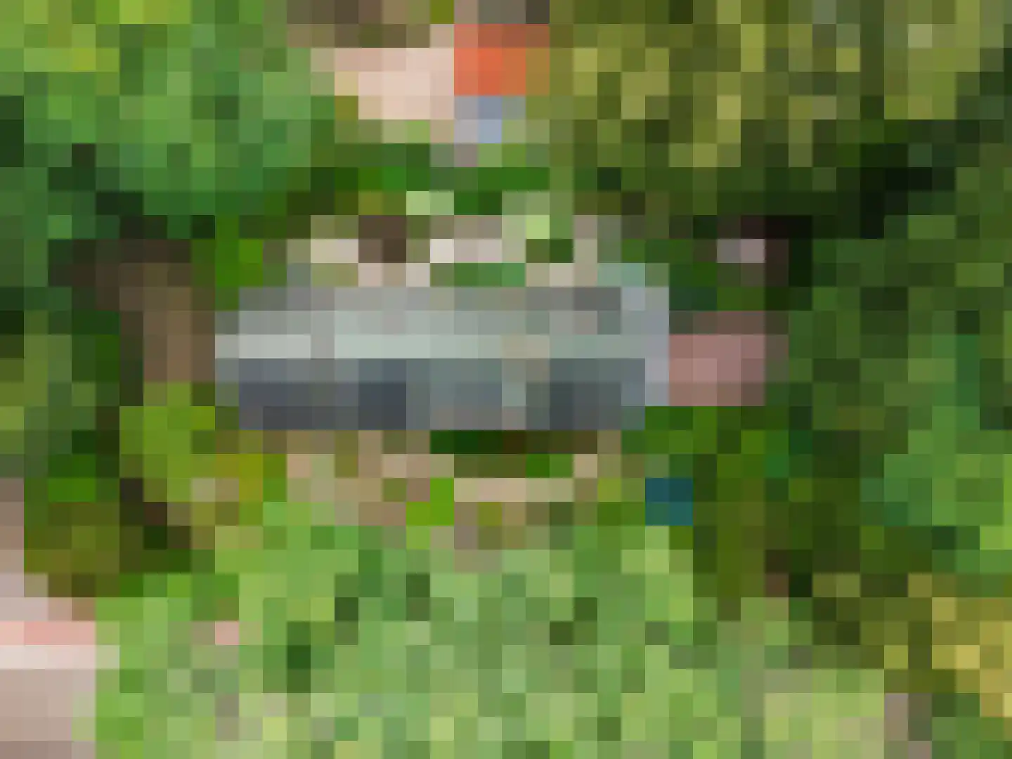 Dassenboslaan 21 Wageningen thumbnail 11