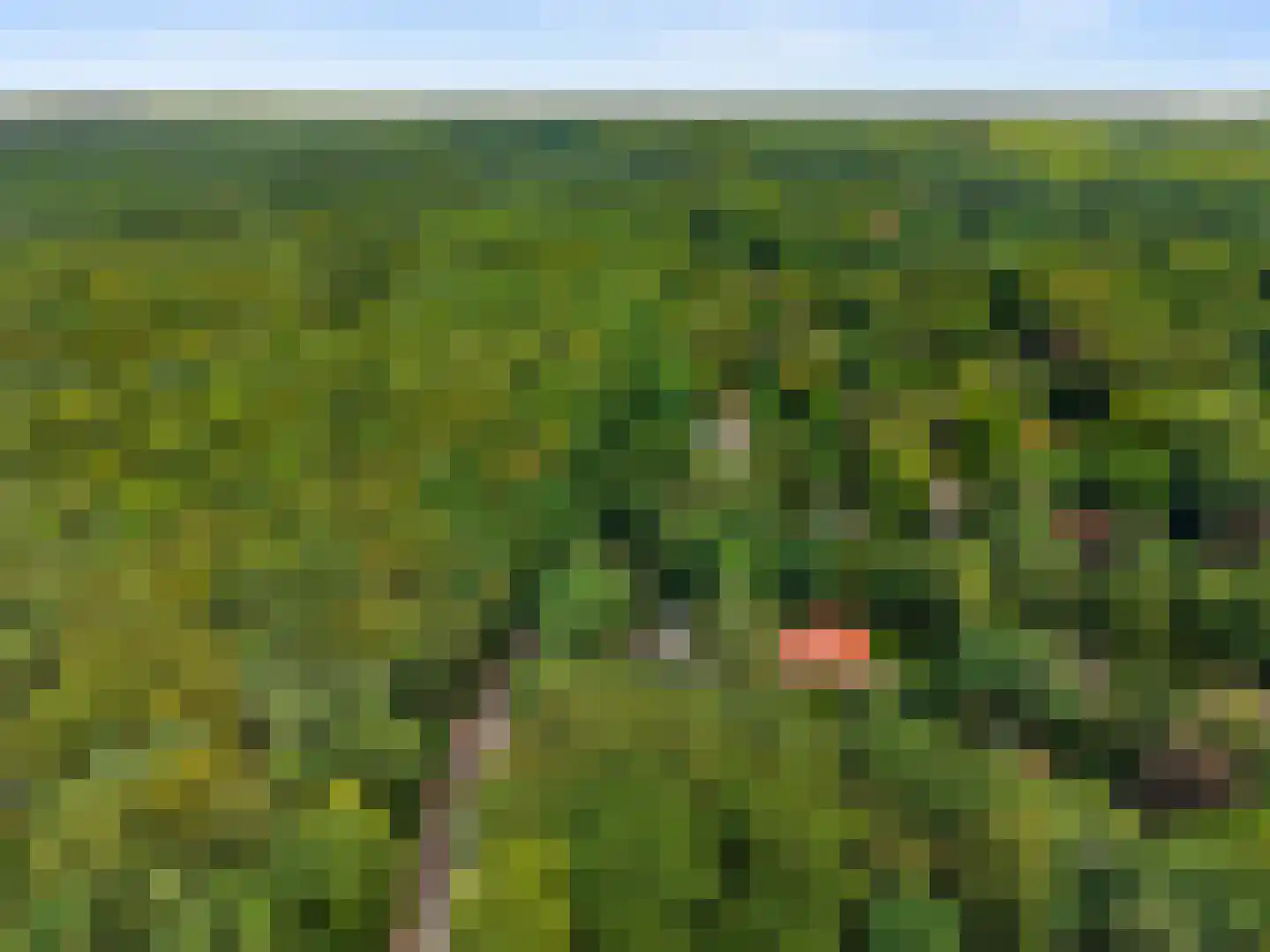 Dassenboslaan 21 Wageningen thumbnail 13