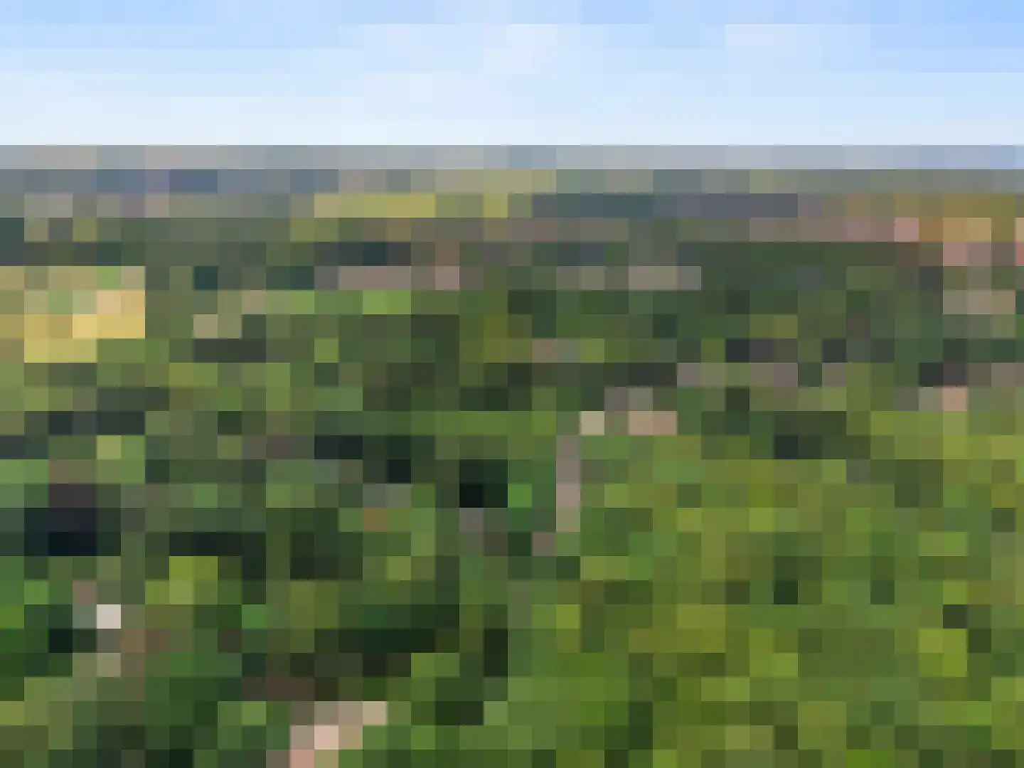 Dassenboslaan 21 Wageningen thumbnail 14
