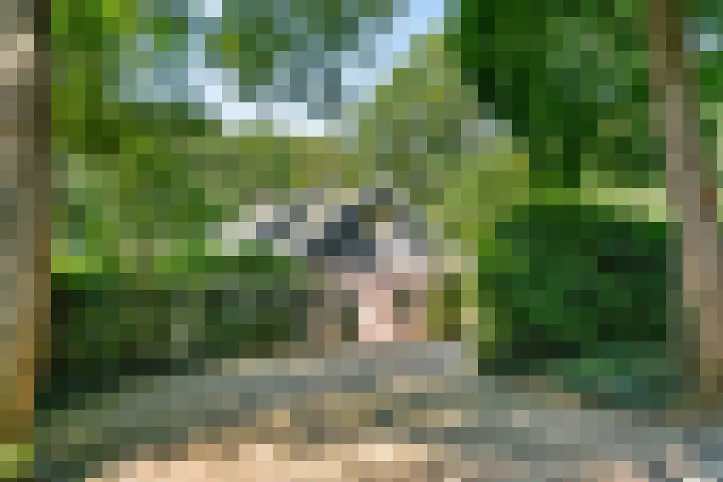 Dassenboslaan 21 Wageningen thumbnail 15