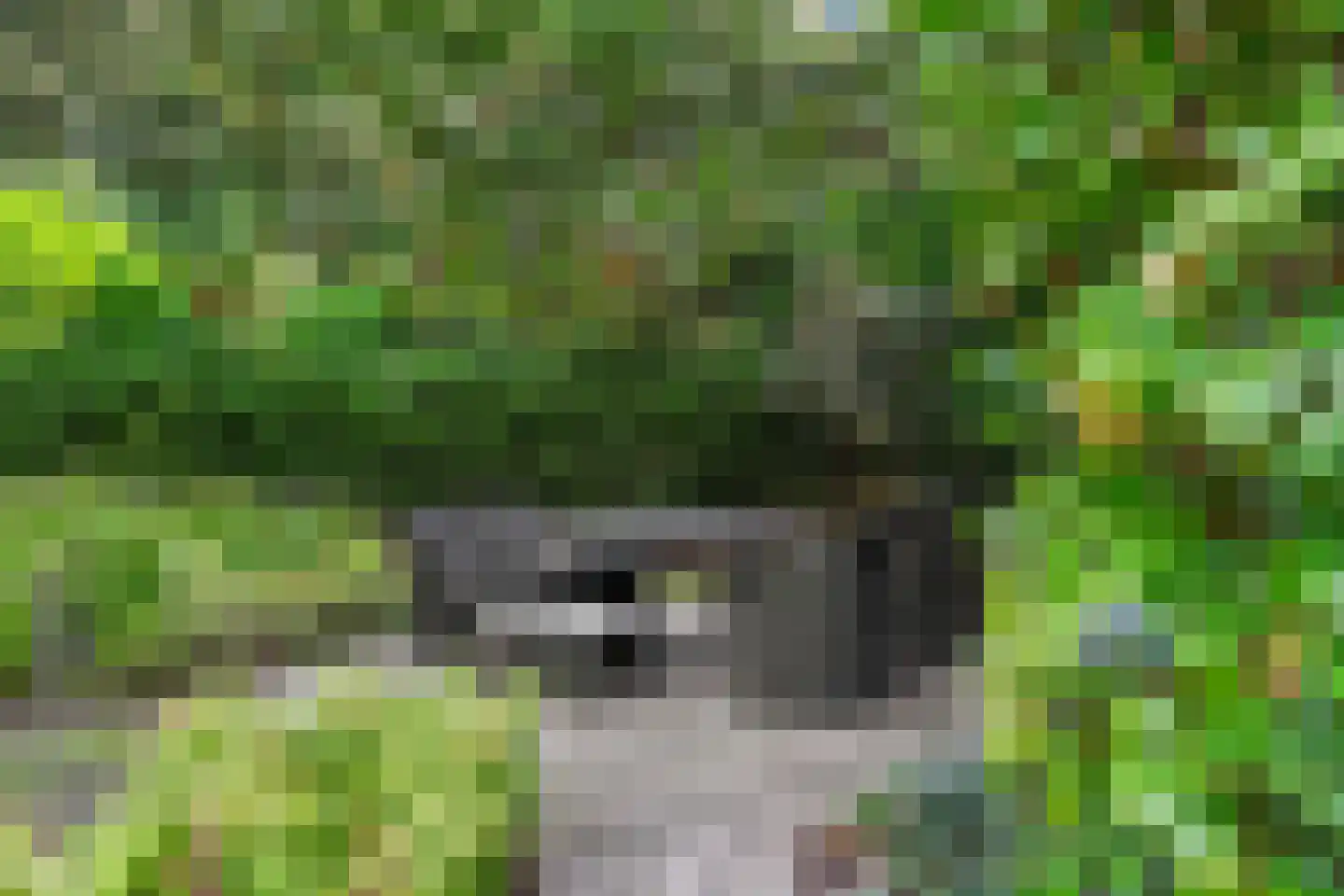 Dassenboslaan 21 Wageningen thumbnail 16