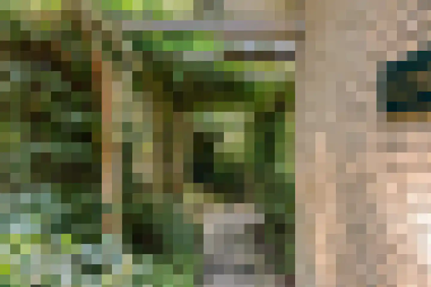 Dassenboslaan 21 Wageningen thumbnail 17
