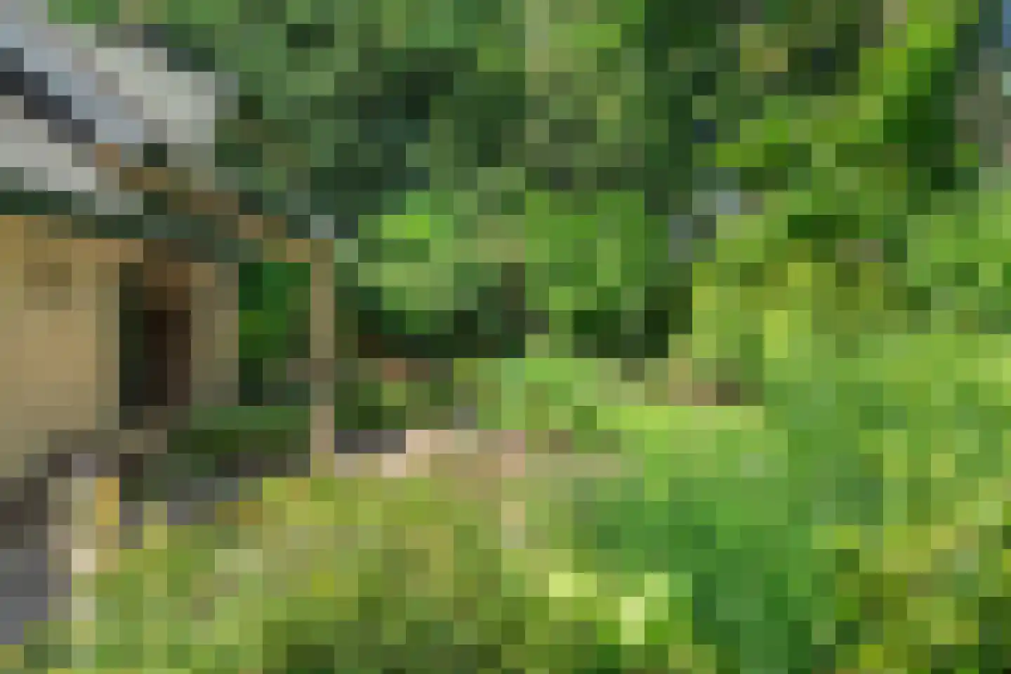 Dassenboslaan 21 Wageningen thumbnail 18