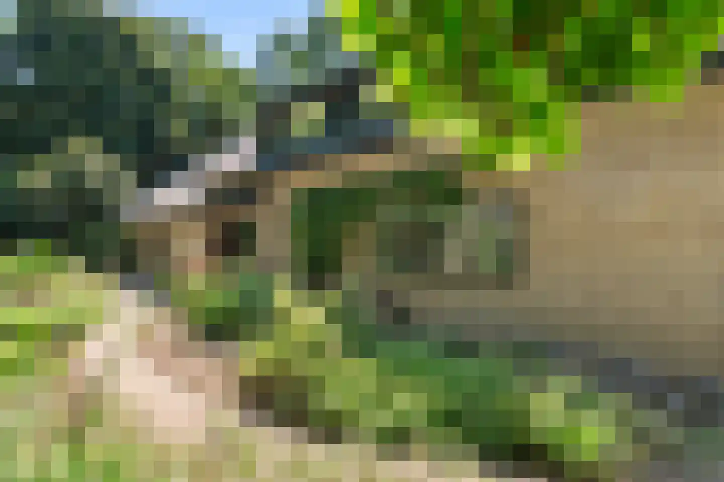Dassenboslaan 21 Wageningen thumbnail 19