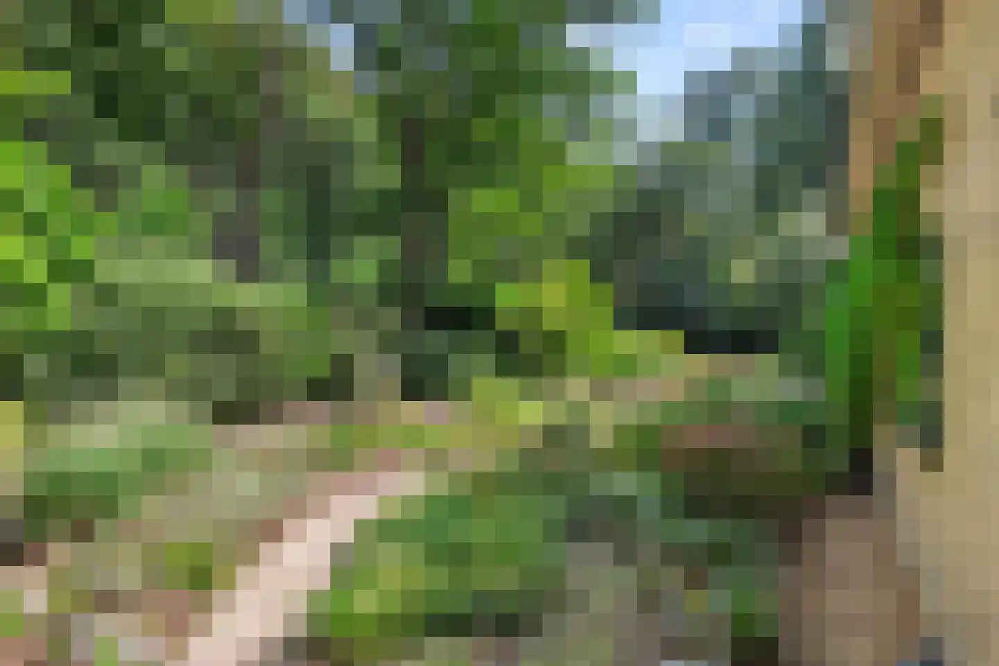 Dassenboslaan 21 Wageningen thumbnail 20