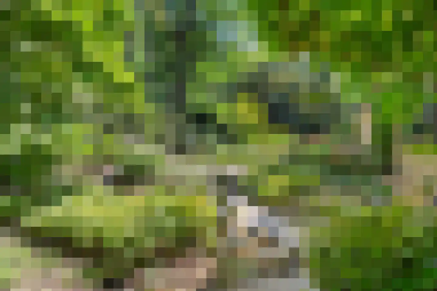 Dassenboslaan 21 Wageningen thumbnail 22